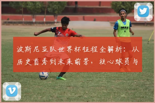 波斯尼亚队世界杯征程全解析:从历史首秀到未来前景,核心球员与晋级之路深度盘点