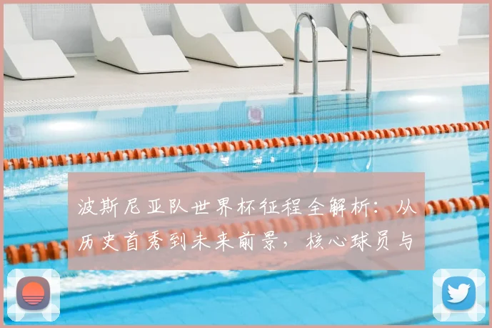 波斯尼亚队世界杯征程全解析:从历史首秀到未来前景,核心球员与晋级之路深度盘点